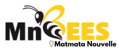 MnBees Gabès - Matmata Nouvelle